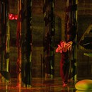 Бесконечное утро Петера Селларса