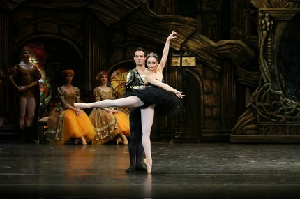 «Лебединое озеро»